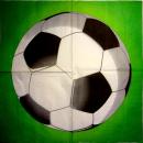 066 Sport: Fußball - 3-ply - Duni